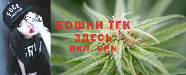 гашик Дмитриев