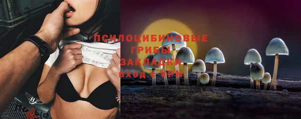 гашик Дмитриев
