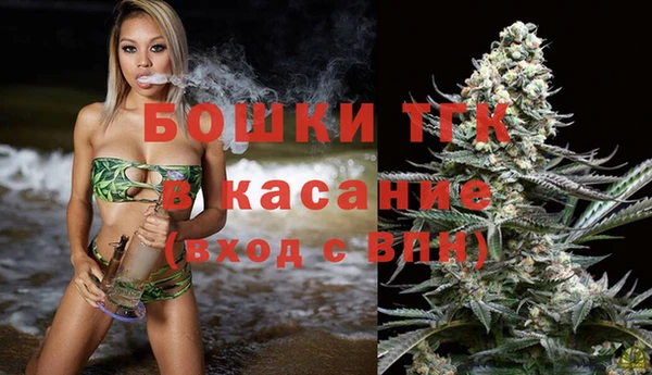 гашик Дмитриев