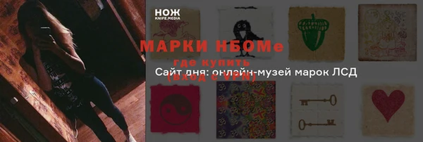 гашик Дмитриев