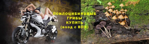 гашик Дмитриев