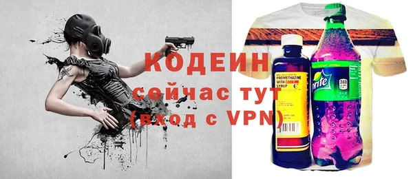 гашик Дмитриев