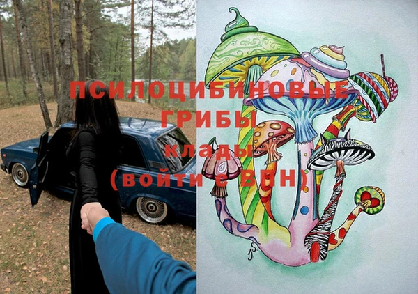 прущая мука Дмитров