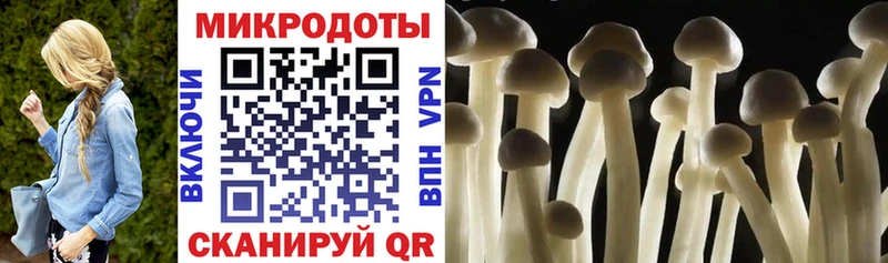 Купить где  Опочка  Галлюциногенные грибы MAGIC MUSHROOMS 