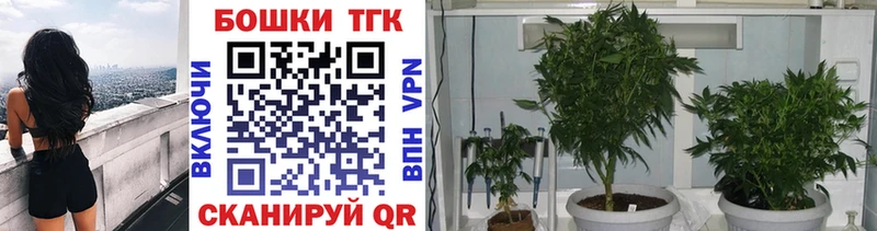 Купить где  Опочка  Бошки Шишки план 